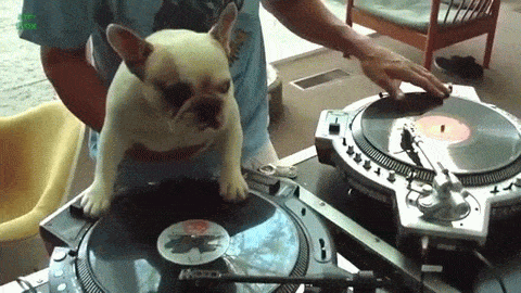 New DJ in town