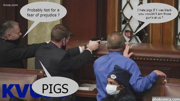 PIG Law Enforcement
