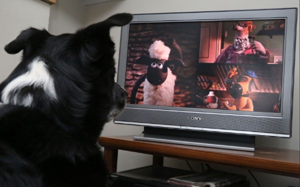 how does it feel to be a dog watching TV, and have fav characters?