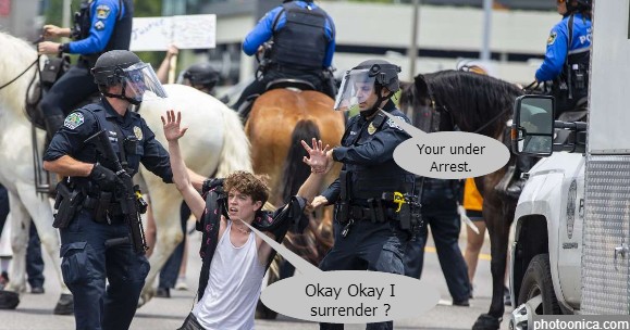 US Park police during DC Riots